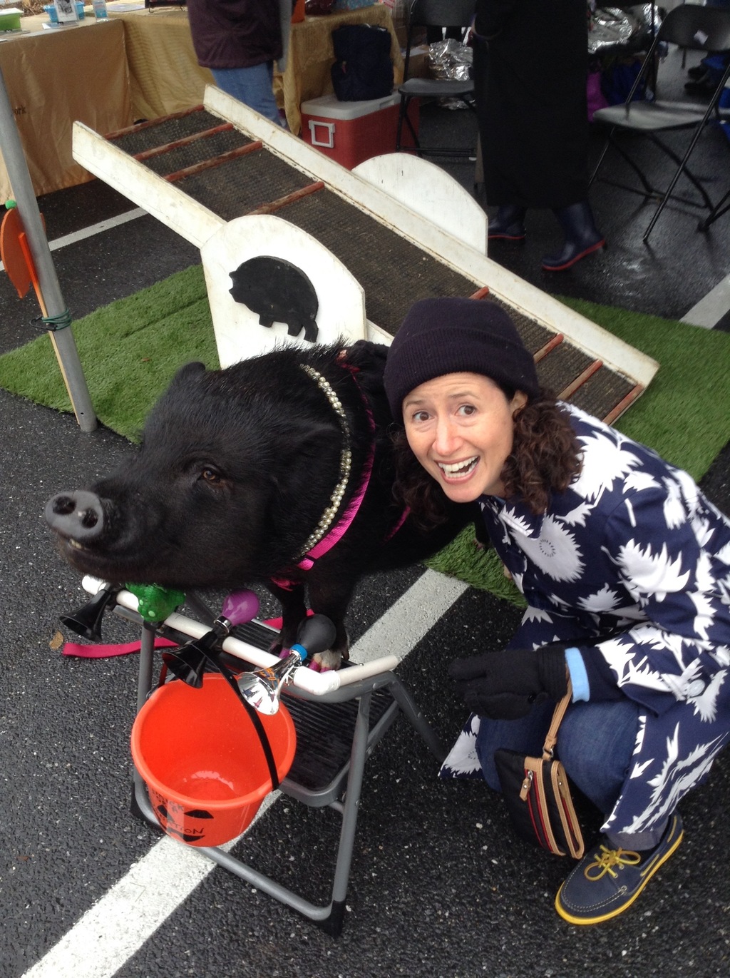 VegFest DC