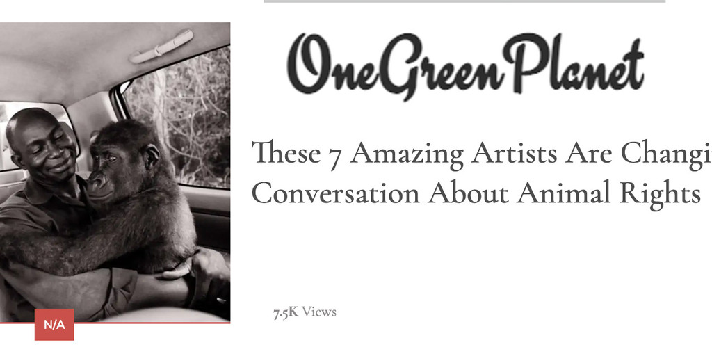 One Green Planet - Interview