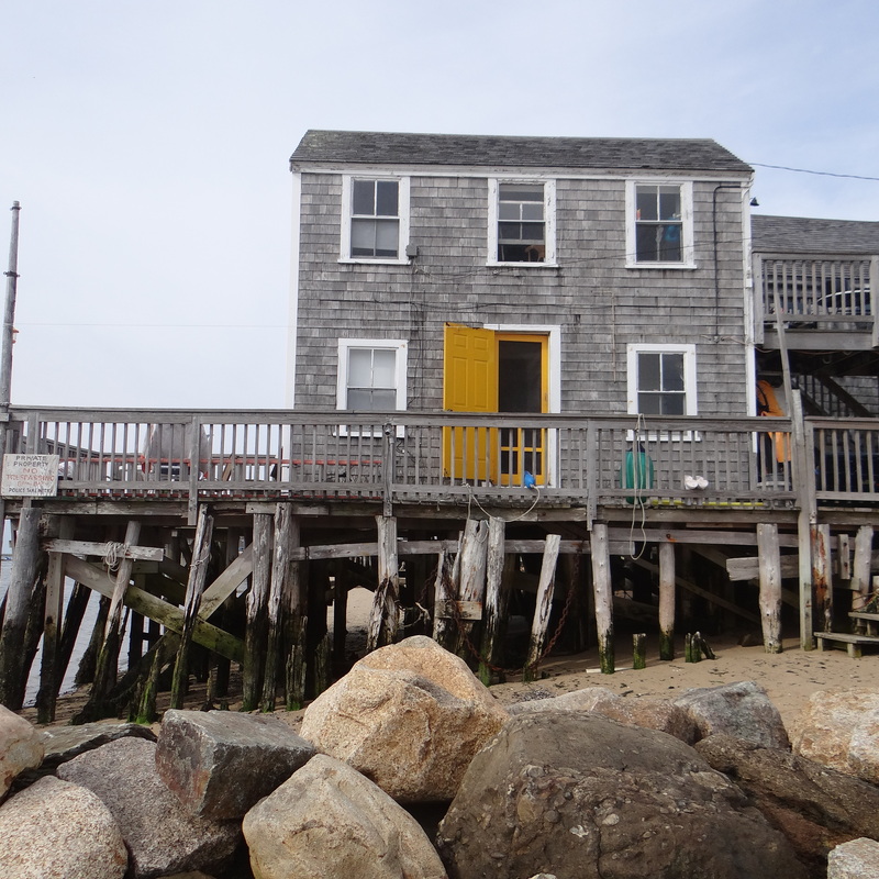Dana Ellyn and Matt Sesow in Provincetown, MA during Bear Week - for their Fairytales & Folklore exhibit at AMP Art Market.